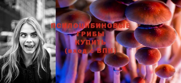 гидра Абдулино