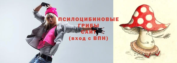 МДПВ Ветлуга