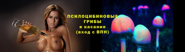 гидра Абдулино