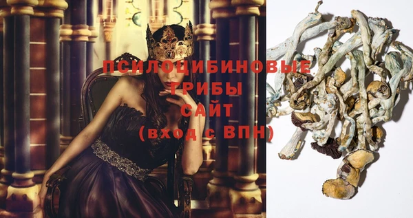 гидра Абдулино