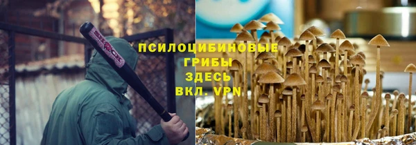стафф Абаза